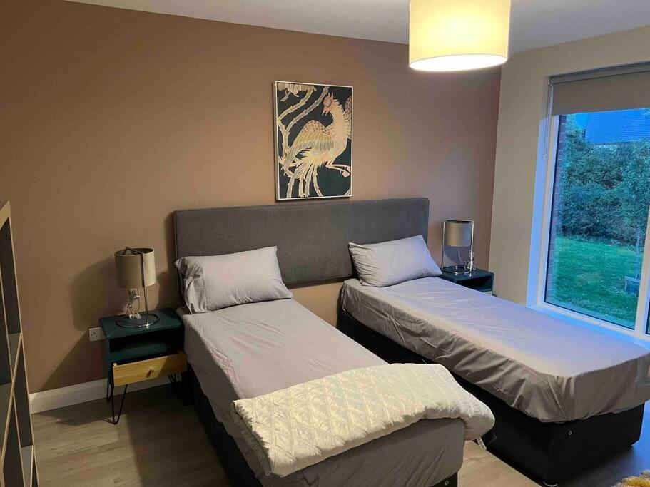 3 Bed Rooms Vip Family House Dublin Exterior photo