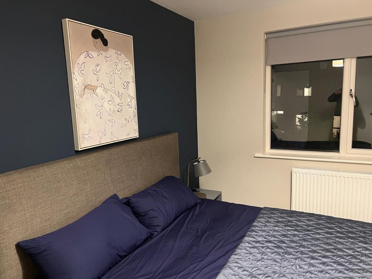 3 Bed Rooms Vip Family House Dublin Exterior photo